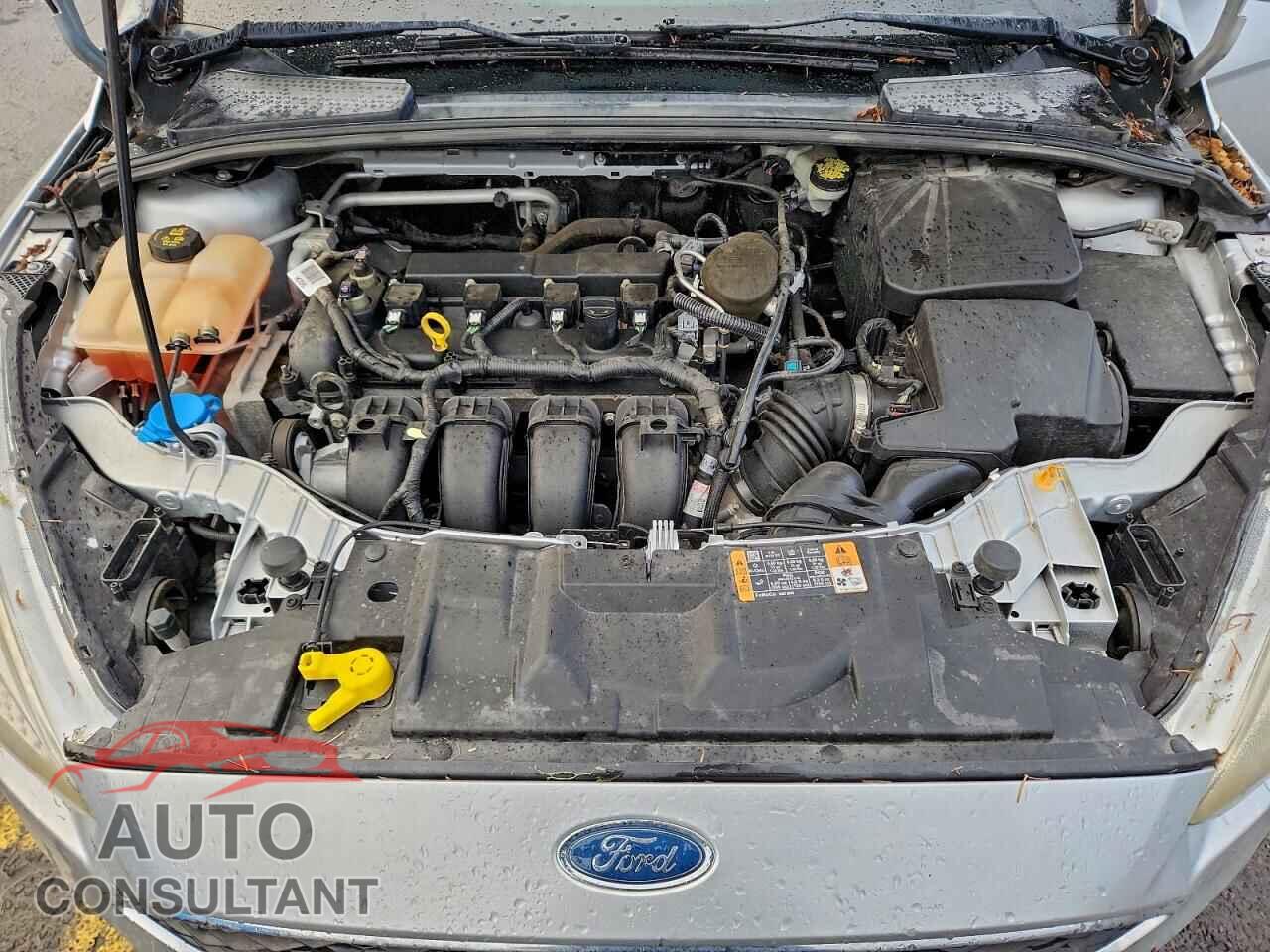 FORD FOCUS 2016 - 1FADP3K29GL283204