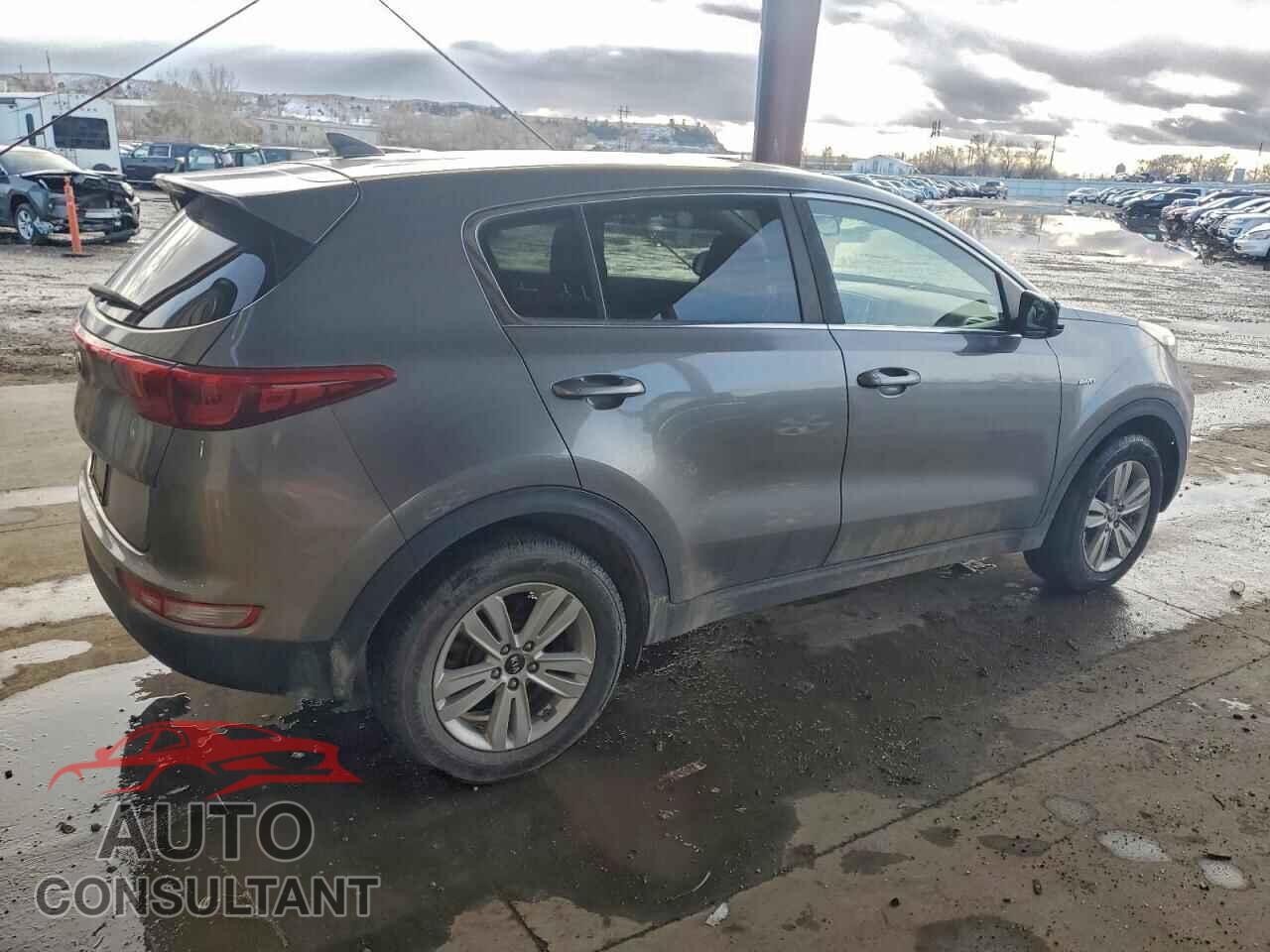 KIA SPORTAGE 2017 - KNDPMCAC9H7128771