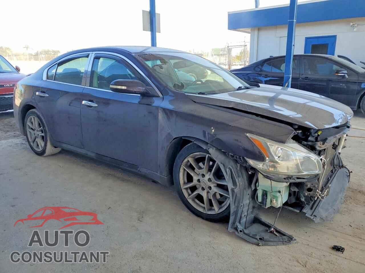 NISSAN MAXIMA 2010 - 1N4AA5AP6AC807929