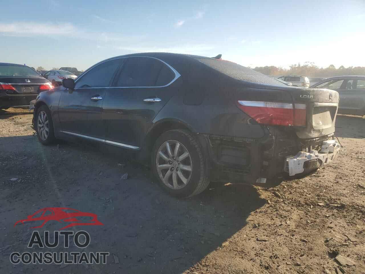 LEXUS LS460 2009 - JTHCL46F595000906