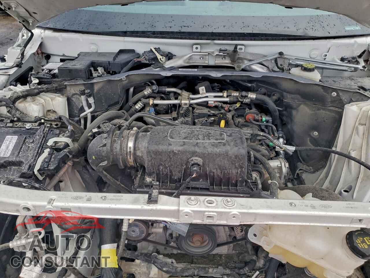 FORD EXPLORER 2024 - 1FMSK8DH0RGA89604