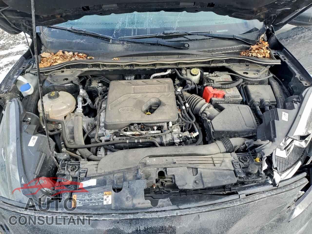 FORD ESCAPE 2020 - 1FMCU0F60LUA50984