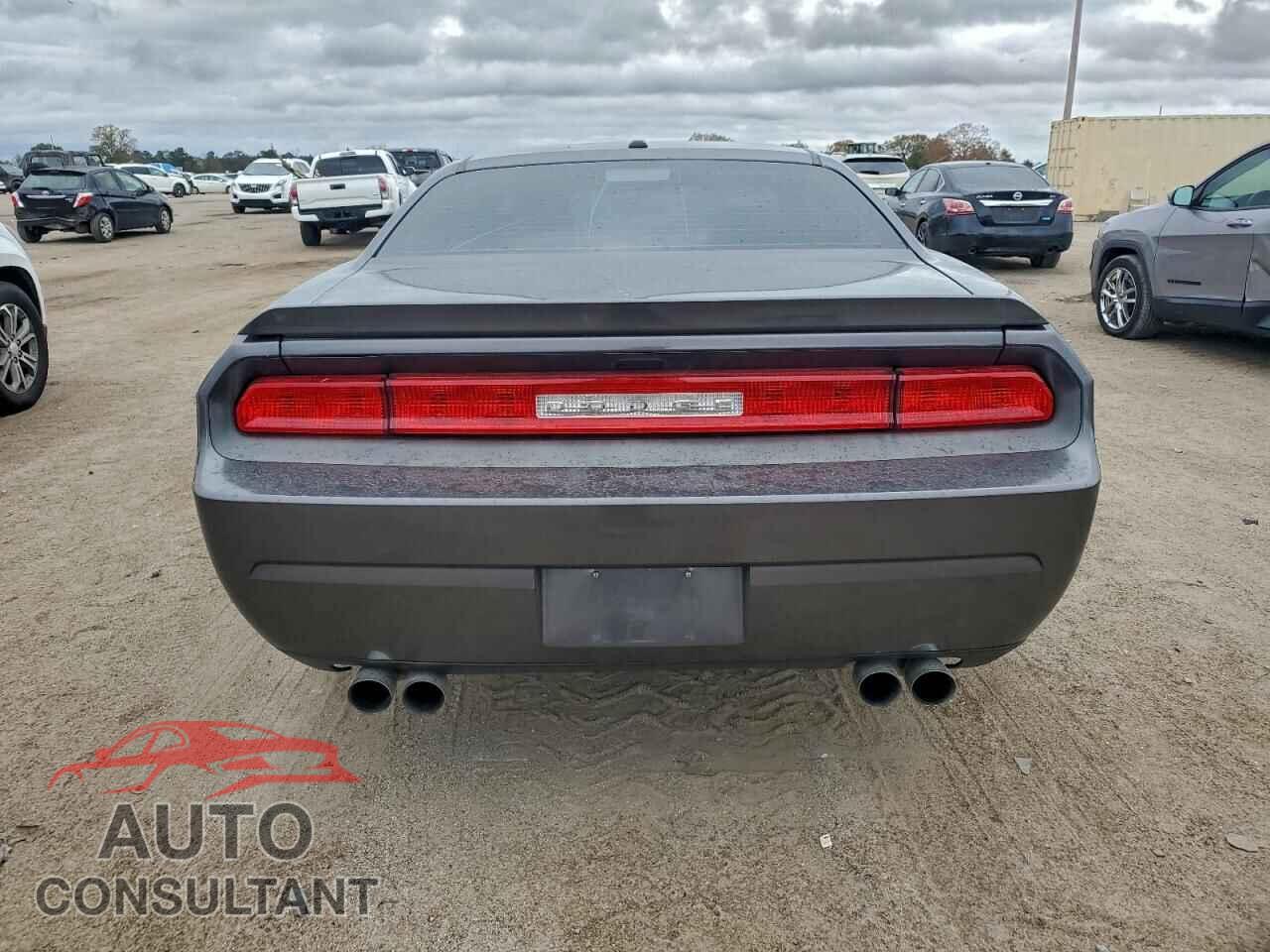 DODGE CHALLENGER 2013 - 2C3CDYBT8DH683496