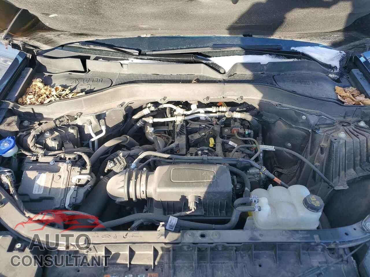 FORD EXPLORER 2023 - 1FMSK8DHXPGB86502