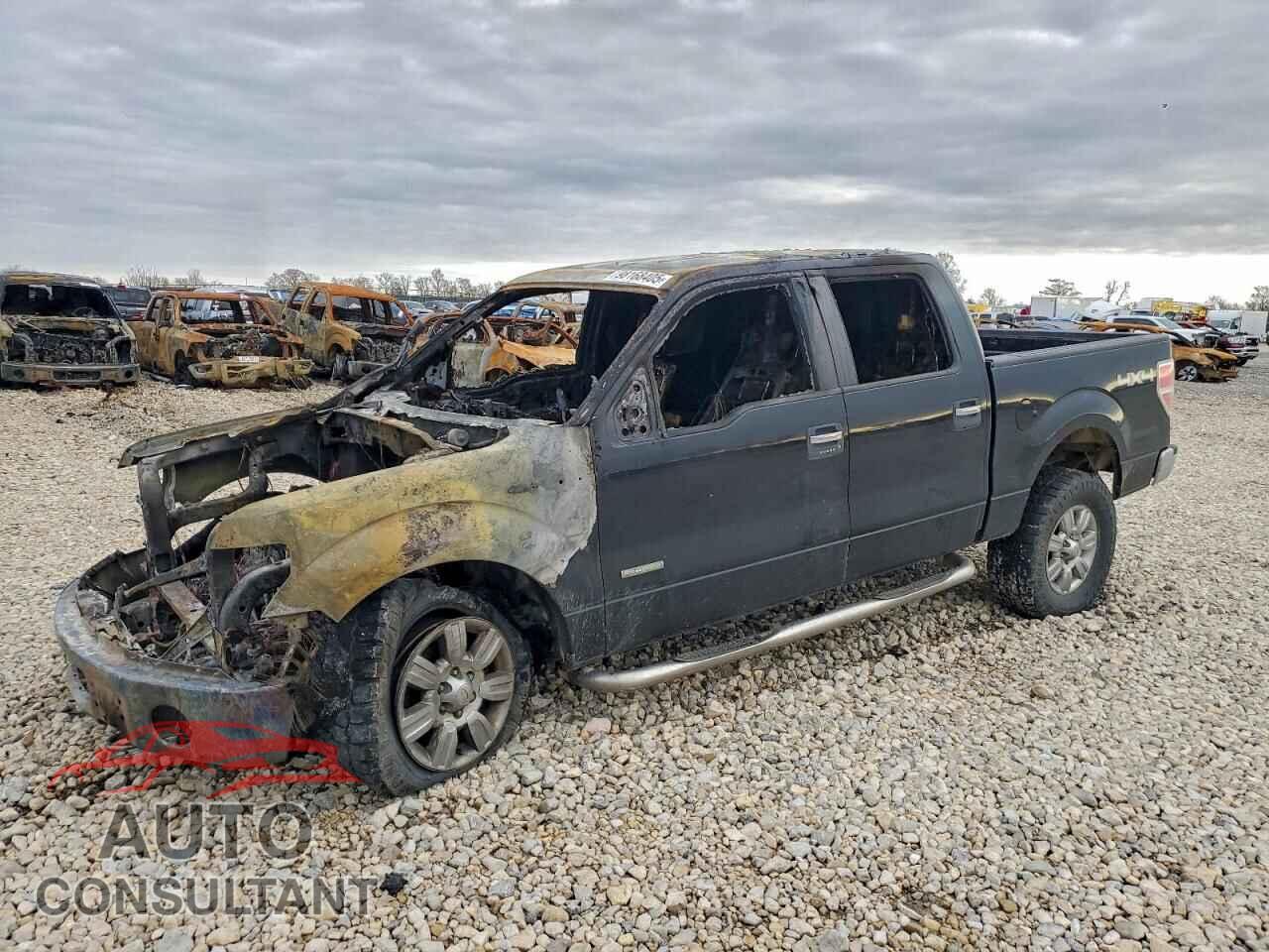 FORD F-150 2011 - 1FTFW1ET9BFC84844