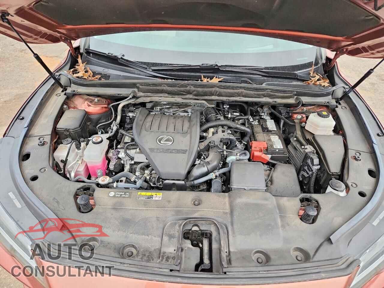 LEXUS RX350 2023 - 2T2BAMCA9PC021183