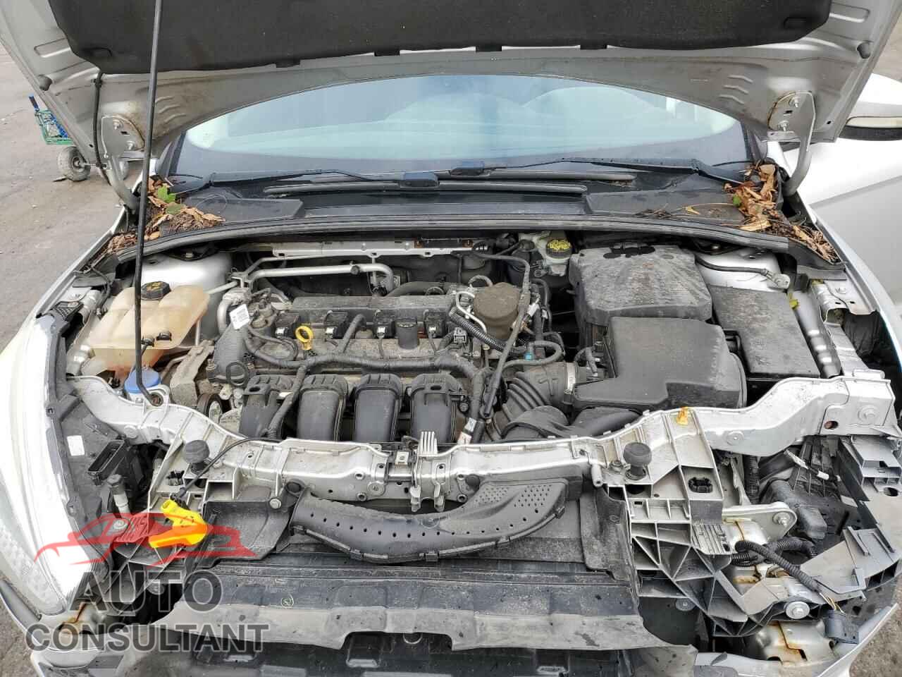 FORD FOCUS 2016 - 1FADP3F29GL319564