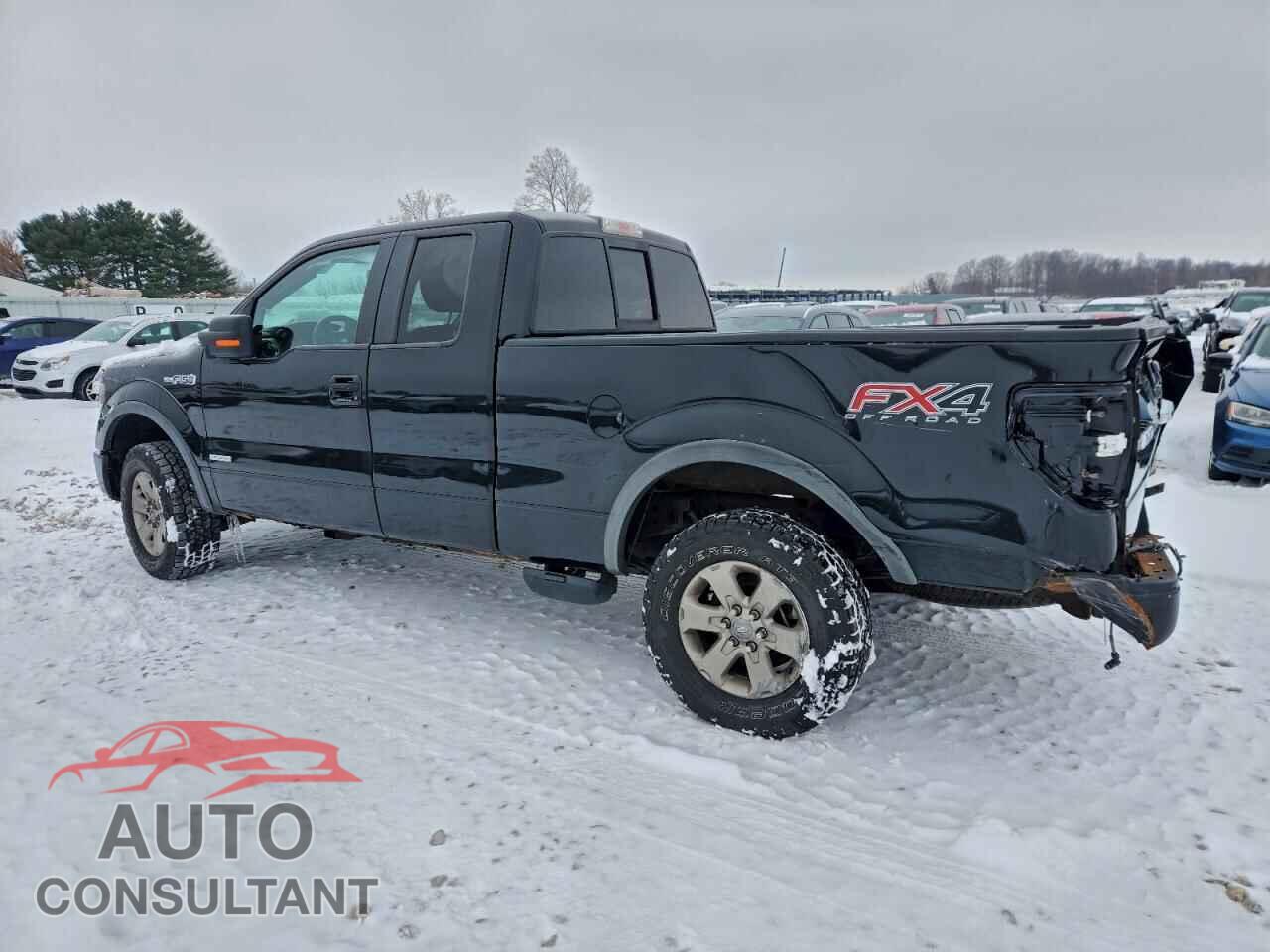 FORD F-150 2013 - 1FTFX1ET4DFB77832