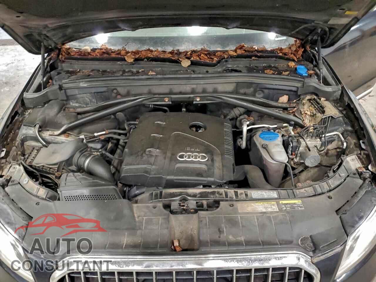 AUDI Q5 2013 - WA1CFAFP1DA036344