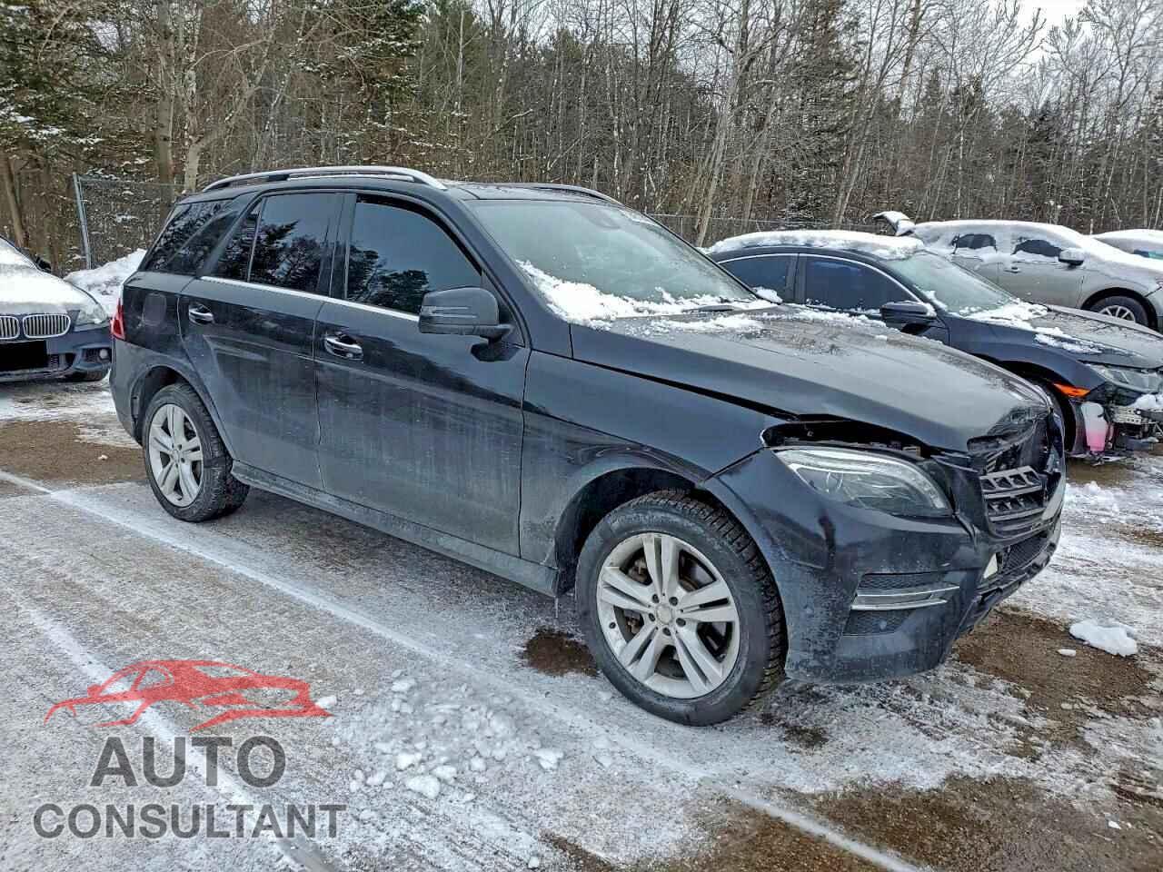 MERCEDES-BENZ M-CLASS 2014 - 4JGDA2EB6EA353747