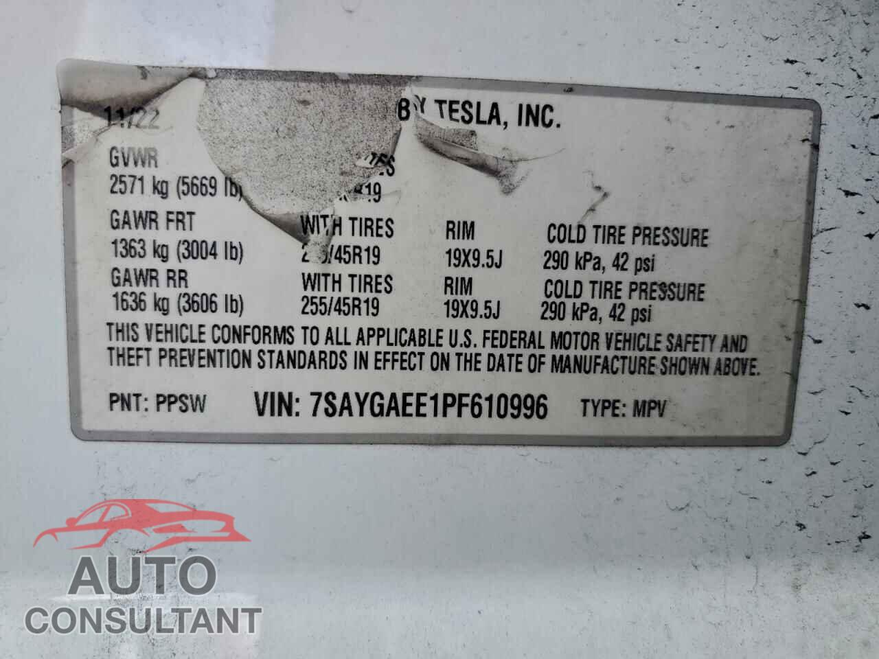 TESLA MODEL Y 2023 - 7SAYGAEE1PF610996