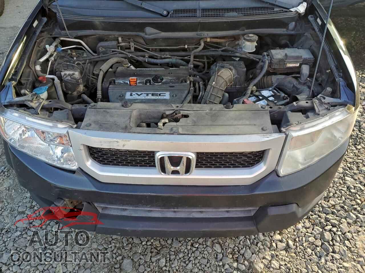 HONDA ELEMENT 2011 - 5J6YH2H36BL004720