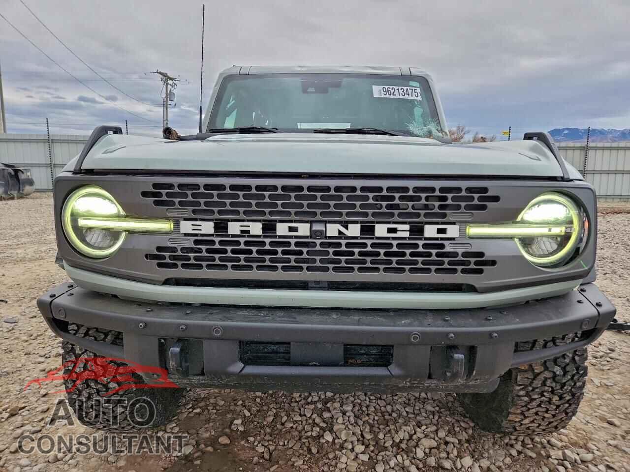 FORD BRONCO 2021 - 1FMEE5DP5MLB00493