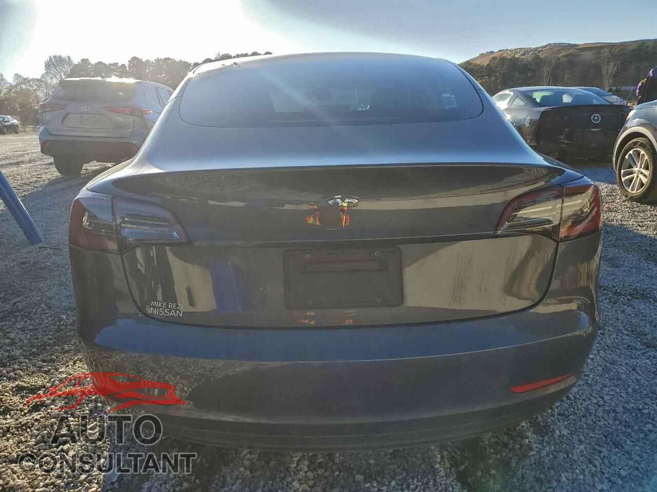 TESLA MODEL 3 2019 - 5YJ3E1EA2KF307650