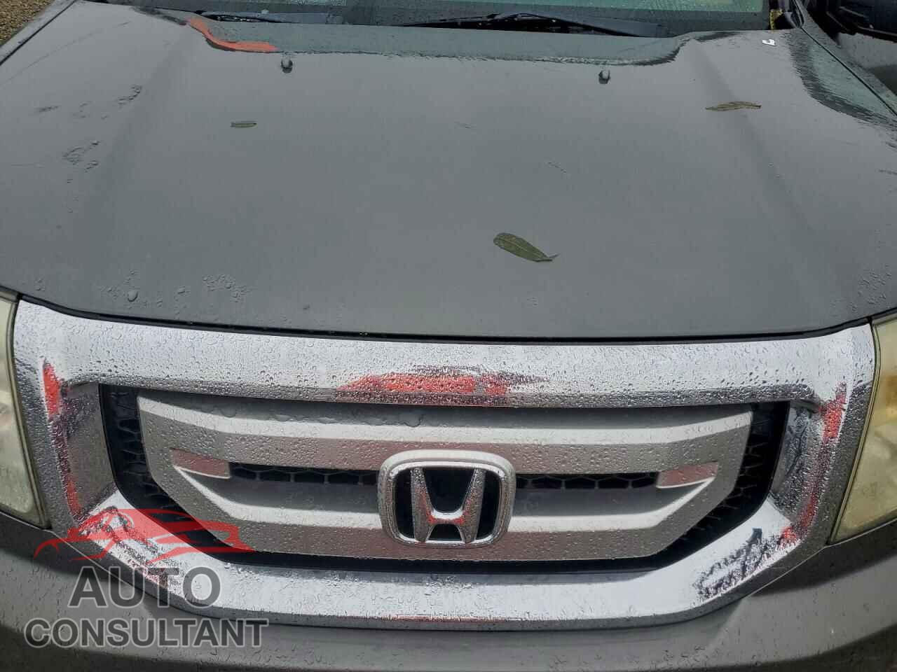 HONDA PILOT 2009 - 5FNYF38529B019327