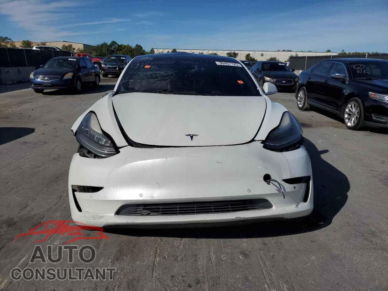 TESLA MODEL 3 2019 - 5YJ3E1EB5KF487411