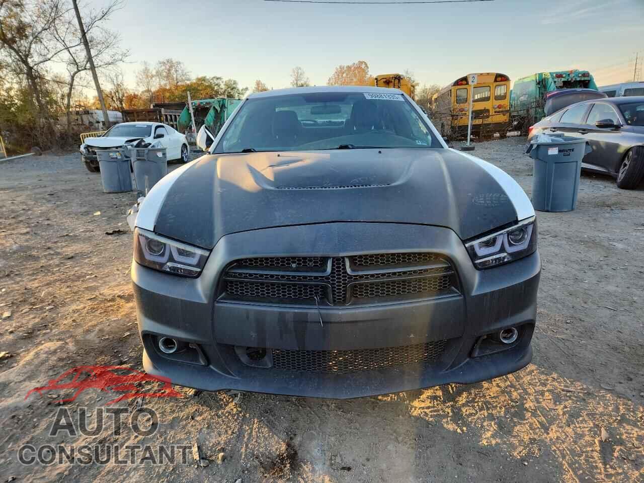 DODGE CHARGER 2013 - 2C3CDXAT0DH578317