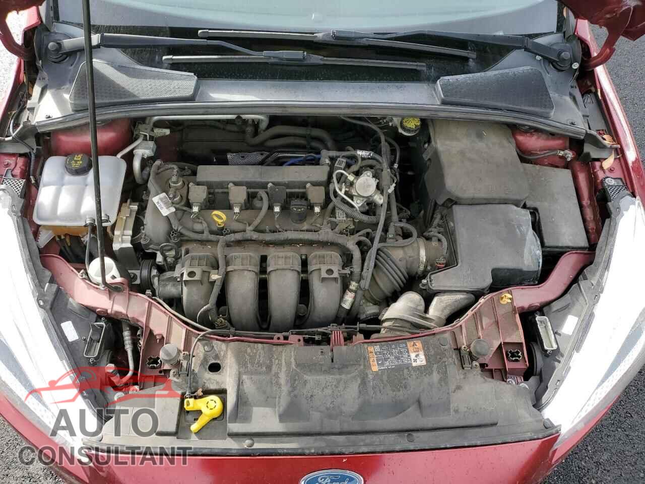 FORD FOCUS 2016 - 1FADP3K26GL387746