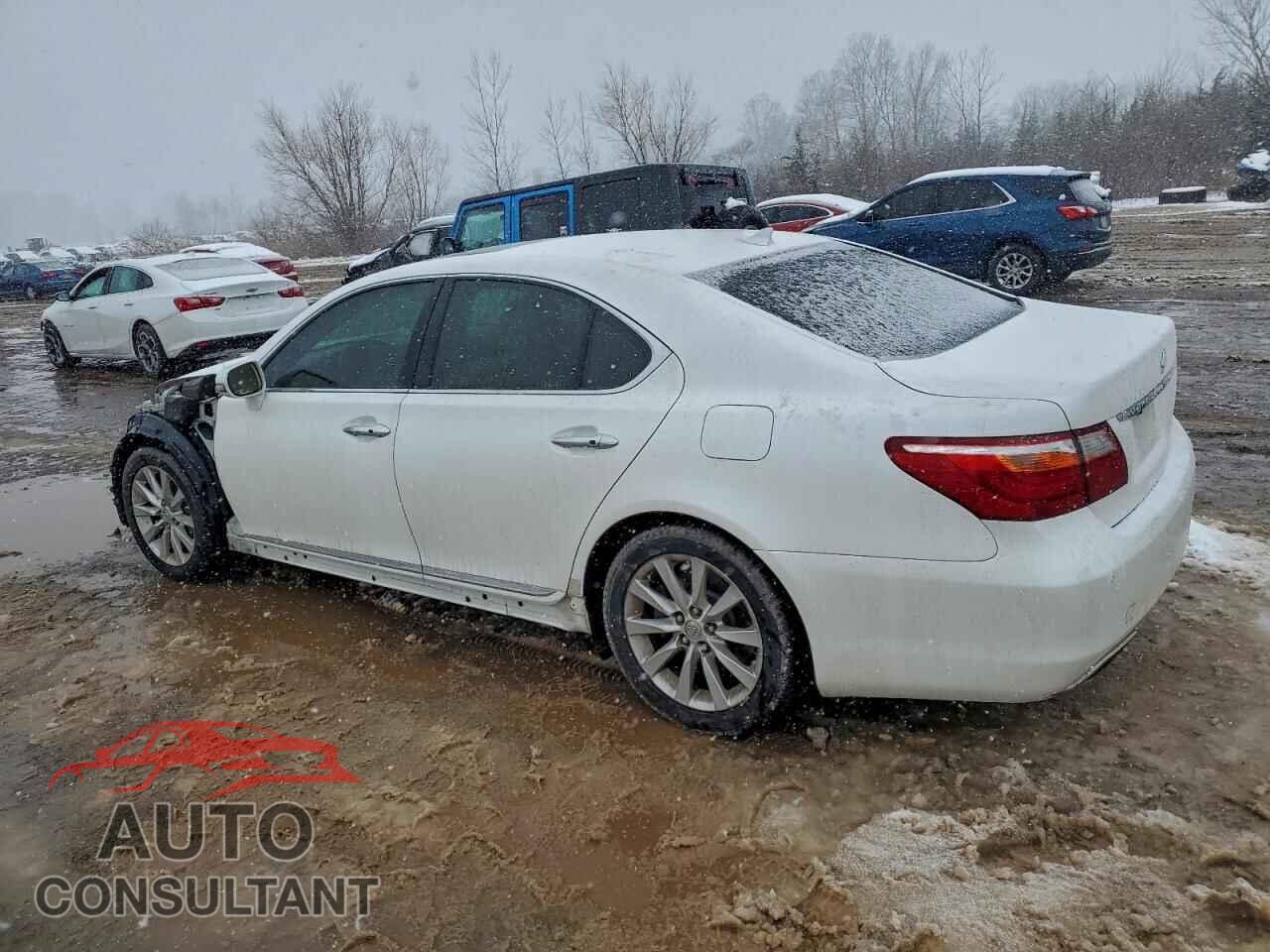 LEXUS LS460 2011 - JTHCL5EF1B5011012