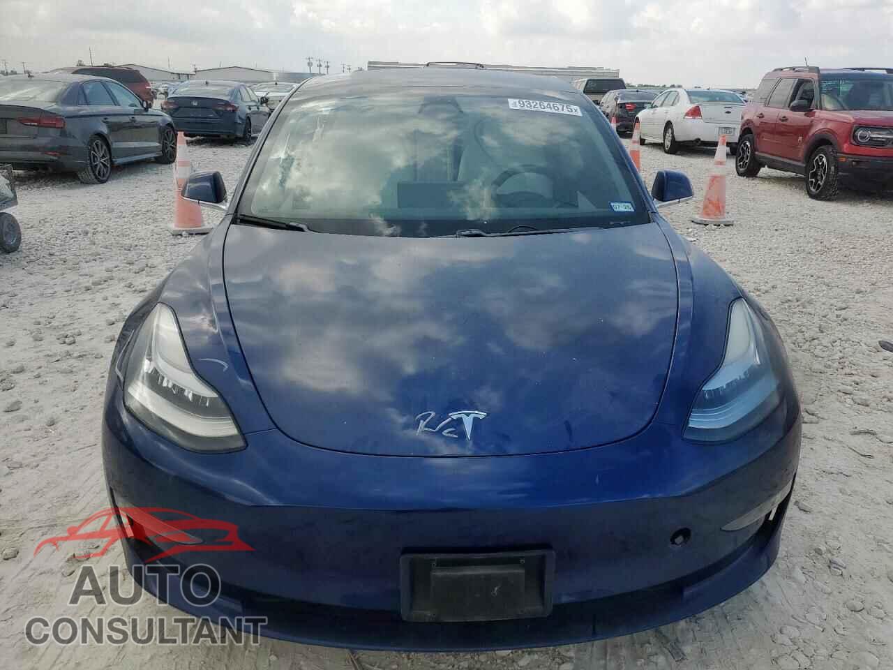 TESLA MODEL 3 2019 - 5YJ3E1EB2KF194985