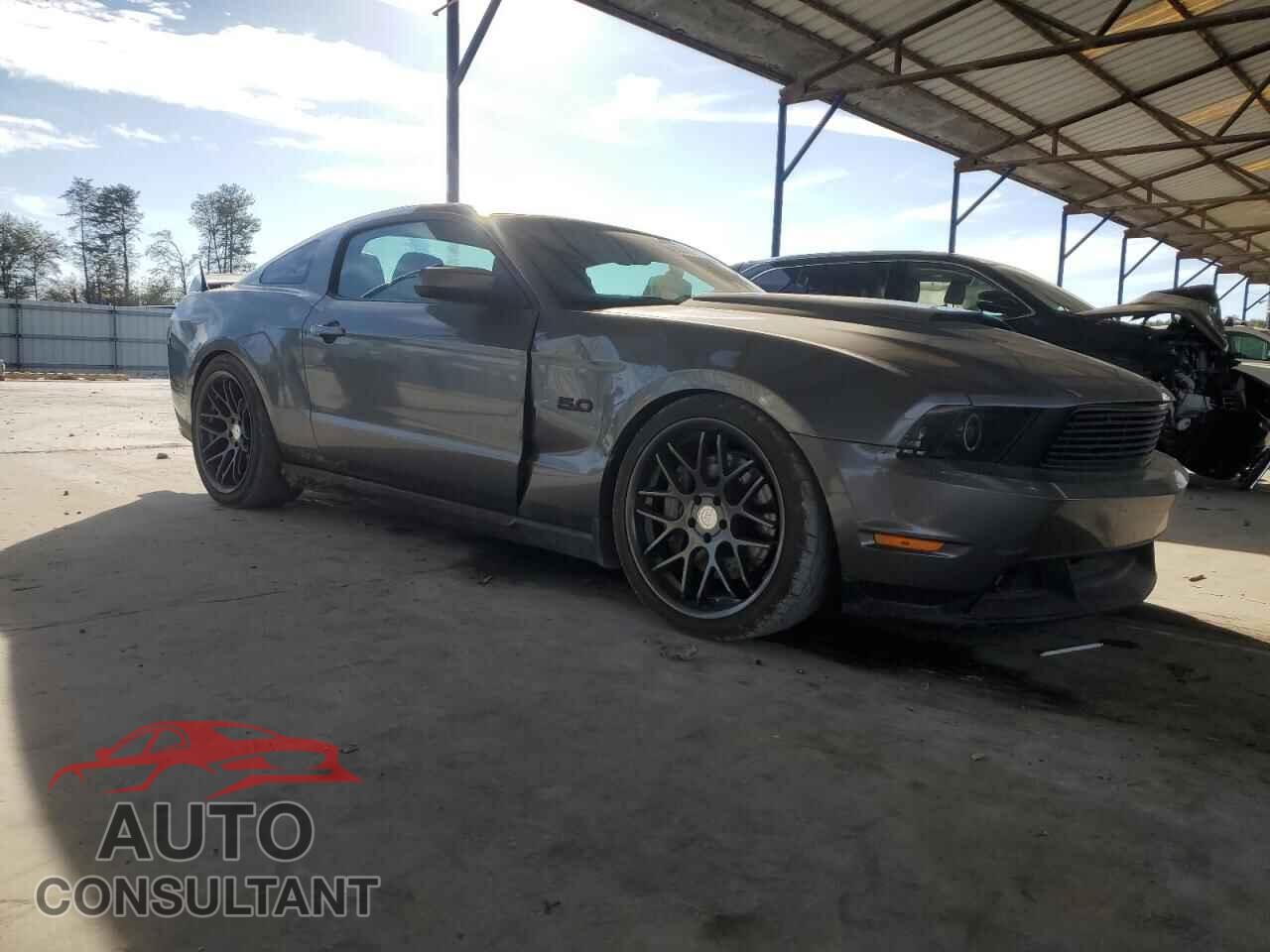 FORD MUSTANG 2011 - 1ZVBP8CF7B5124305