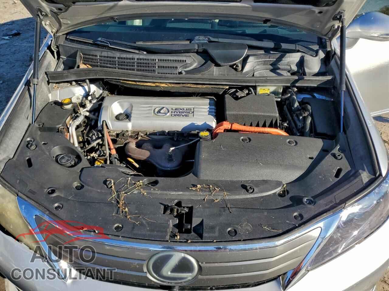 LEXUS HS 2010 - JTHBB1BA7A2034357