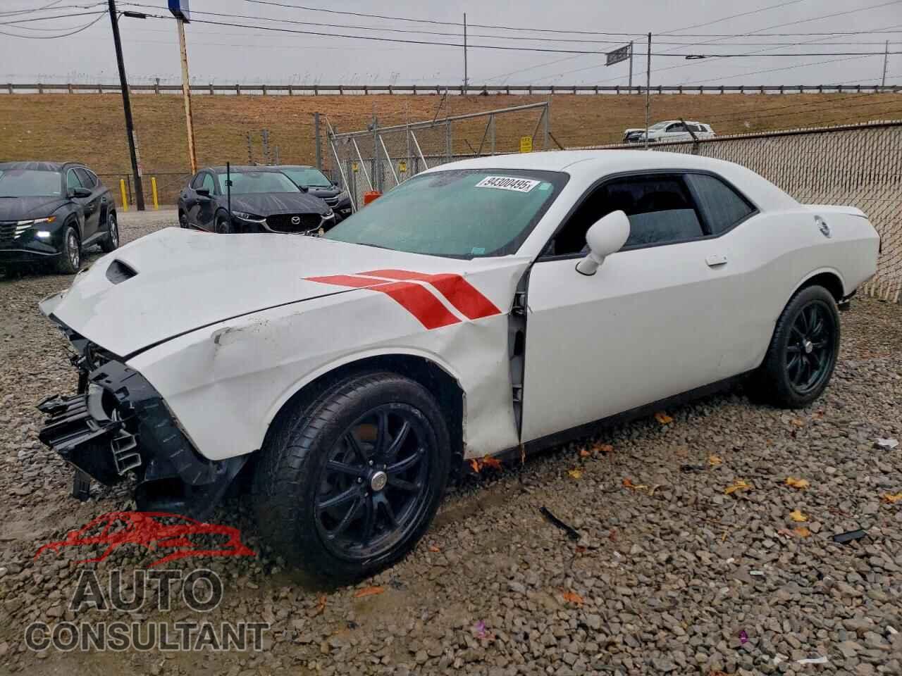 DODGE CHALLENGER 2019 - 2C3CDZKG6KH522201