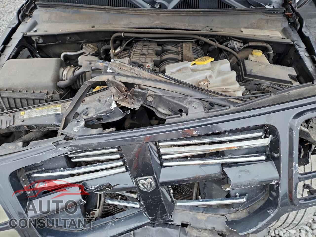 DODGE NITRO 2011 - 1D4PU4GX2BW512486