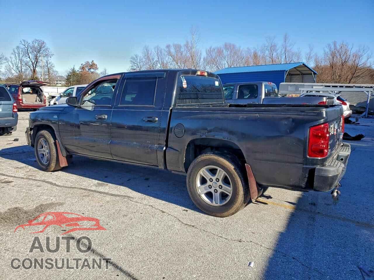 DODGE DAKOTA 2009 - 1D7HE38P89S810569