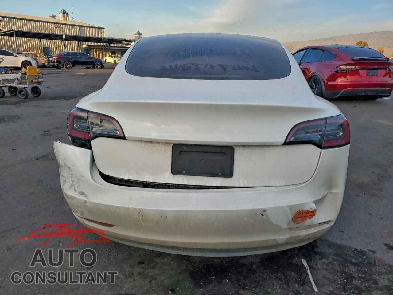 TESLA MODEL 3 2020 - 5YJ3E1EA5LF613193