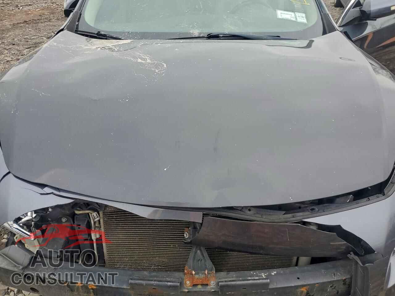NISSAN MAXIMA 2013 - 1N4AA5AP1DC812783