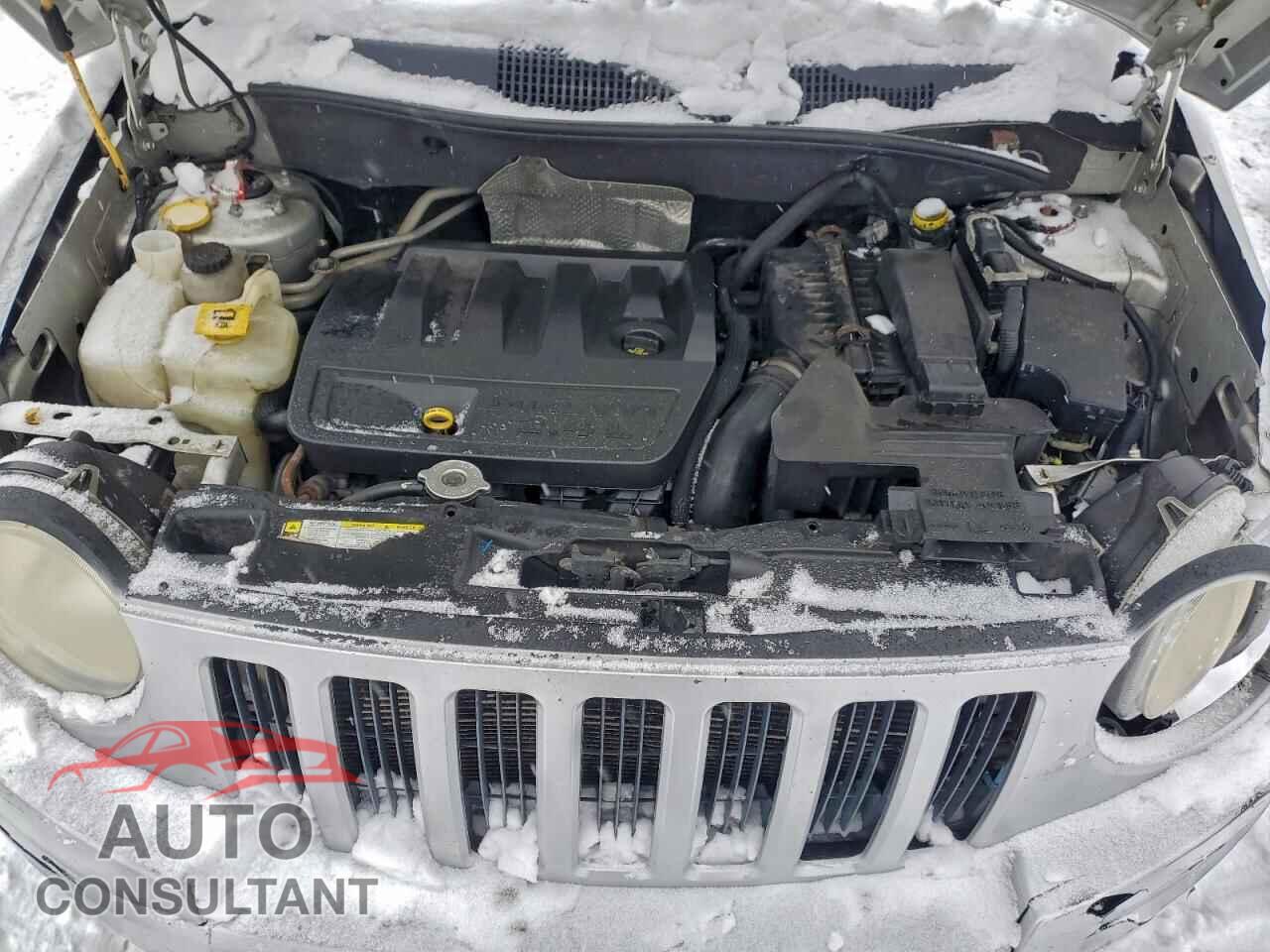 JEEP COMPASS 2009 - 1J4FT47B19D134113