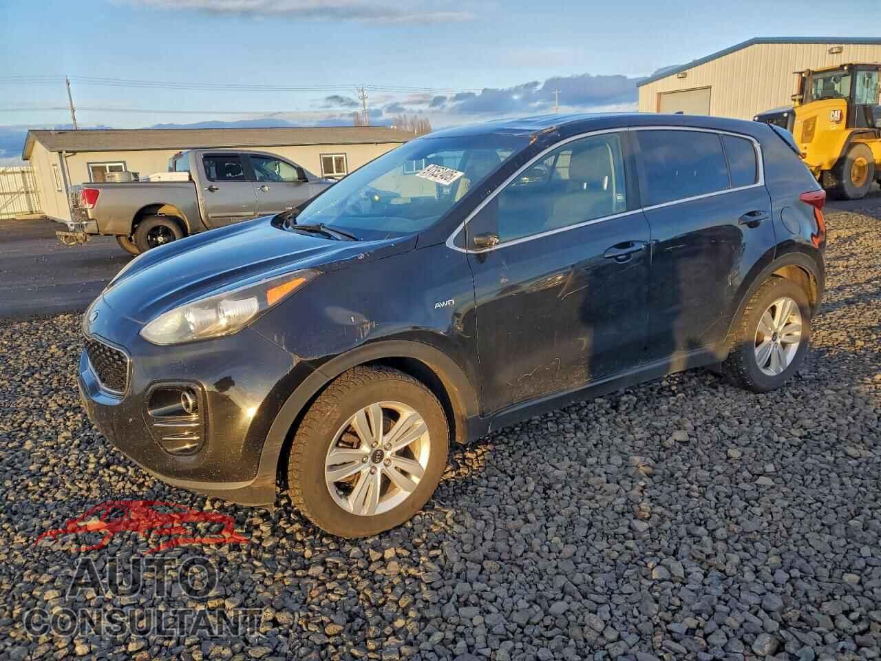 KIA SPORTAGE 2017 - KNDPMCAC6H7121647