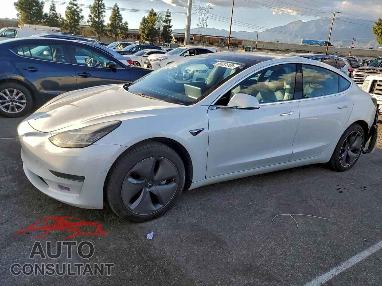 TESLA MODEL 3 2019 - 5YJ3E1EA2KF485610