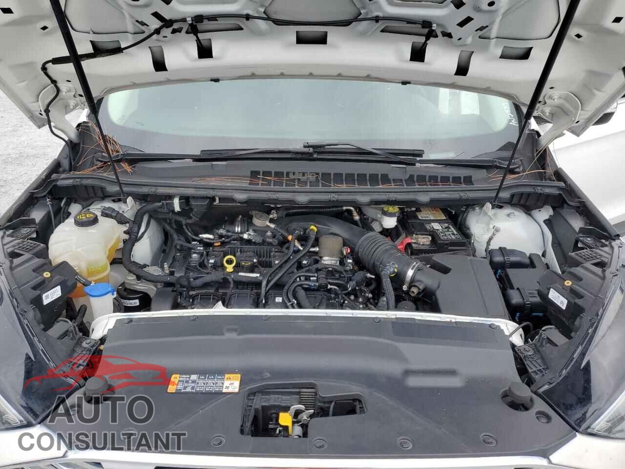 FORD EDGE 2019 - 2FMPK4K95KBC35745