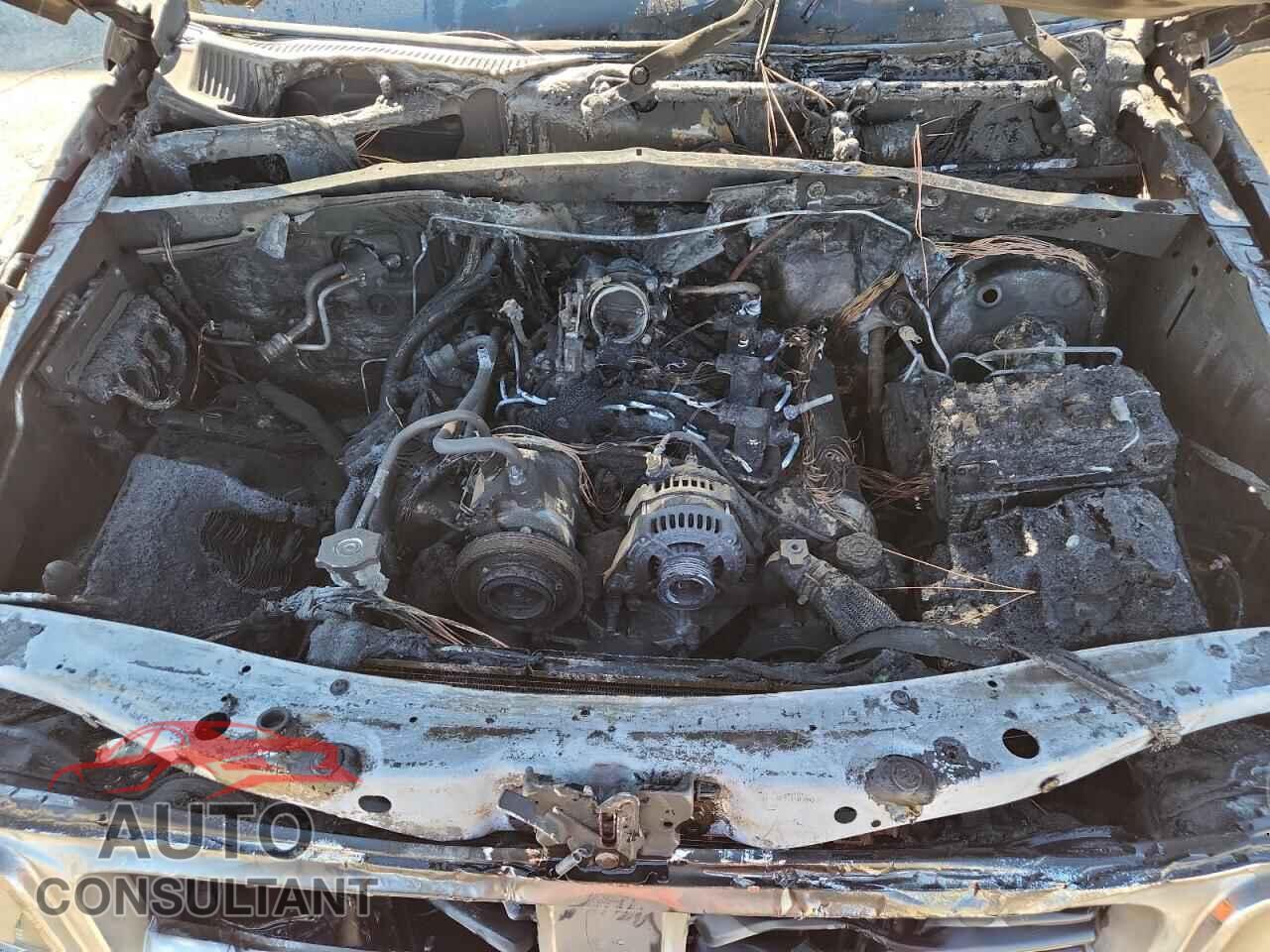 DODGE NITRO 2011 - 1D4PT2GK0BW525359