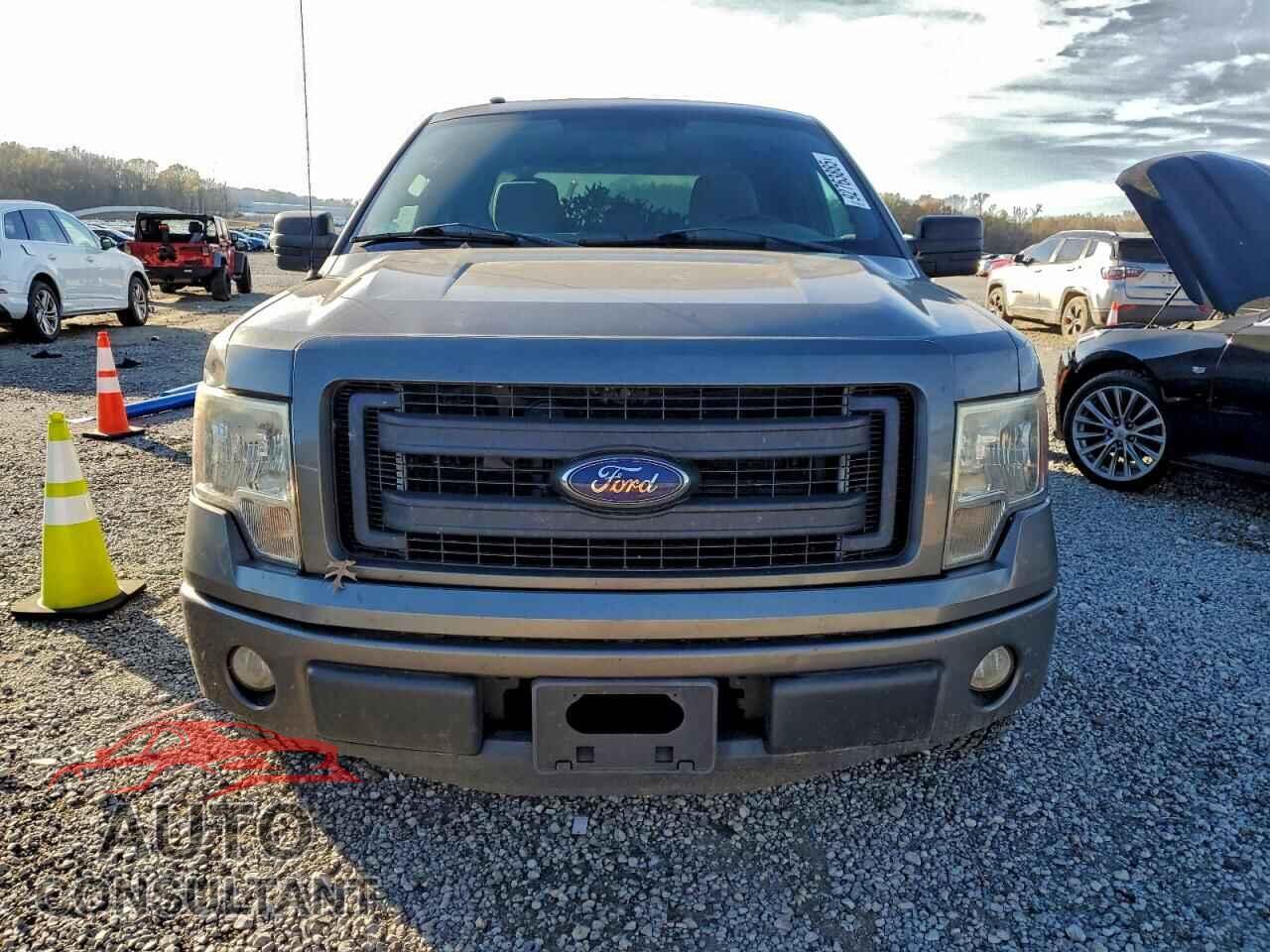 FORD F-150 2013 - 1FTEX1CM9DFD94123