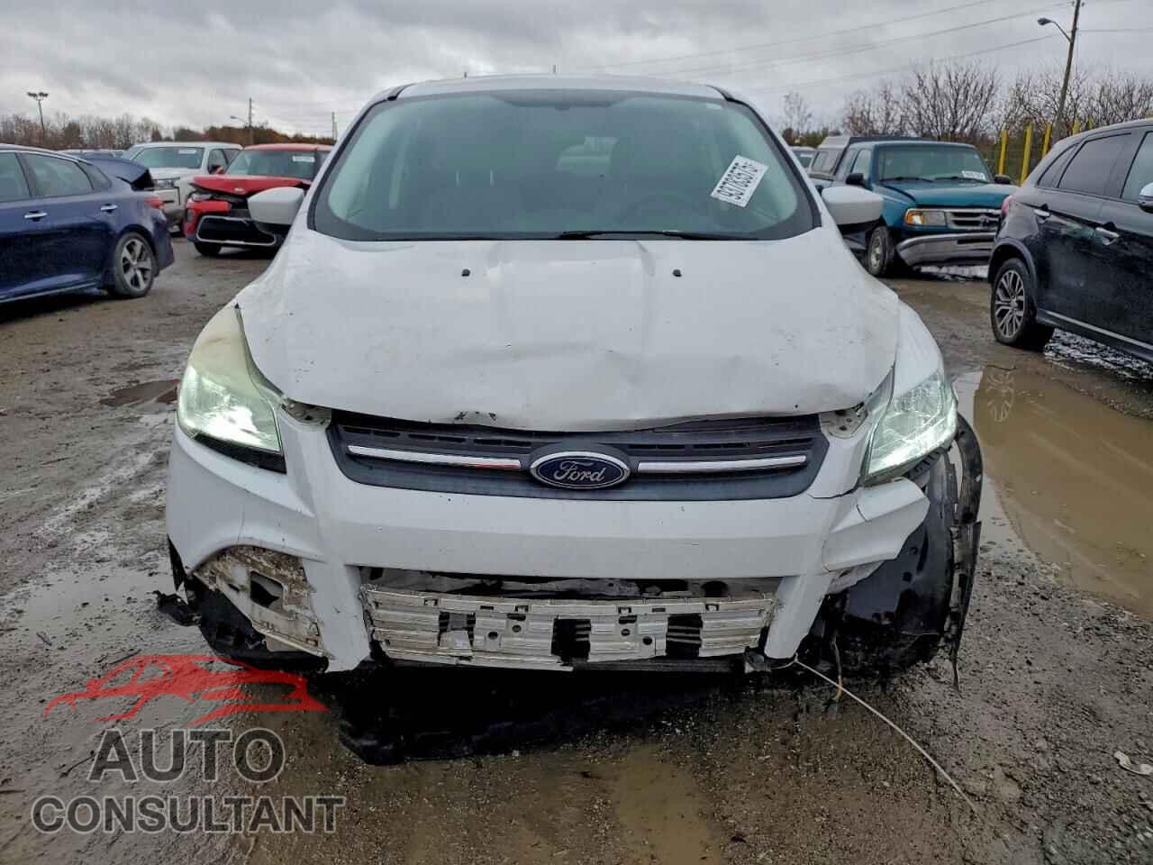 FORD ESCAPE 2014 - 1FMCU9GX4EUC61362