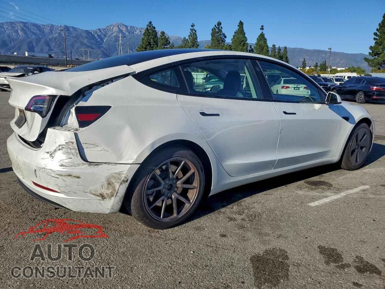 TESLA MODEL 3 2021 - 5YJ3E1EA5MF976207