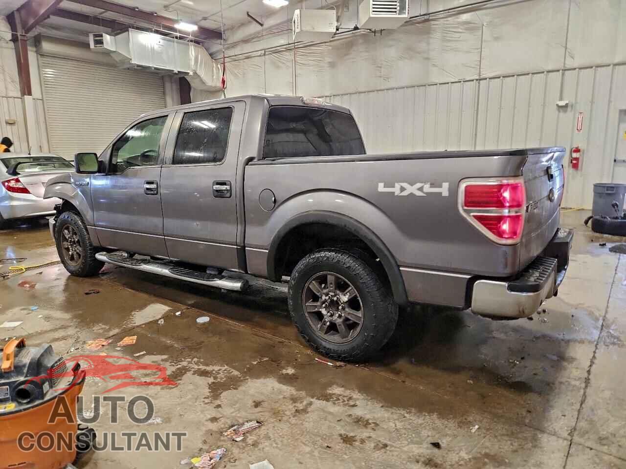 FORD F-150 2010 - 1FTFW1EV1AFB04501