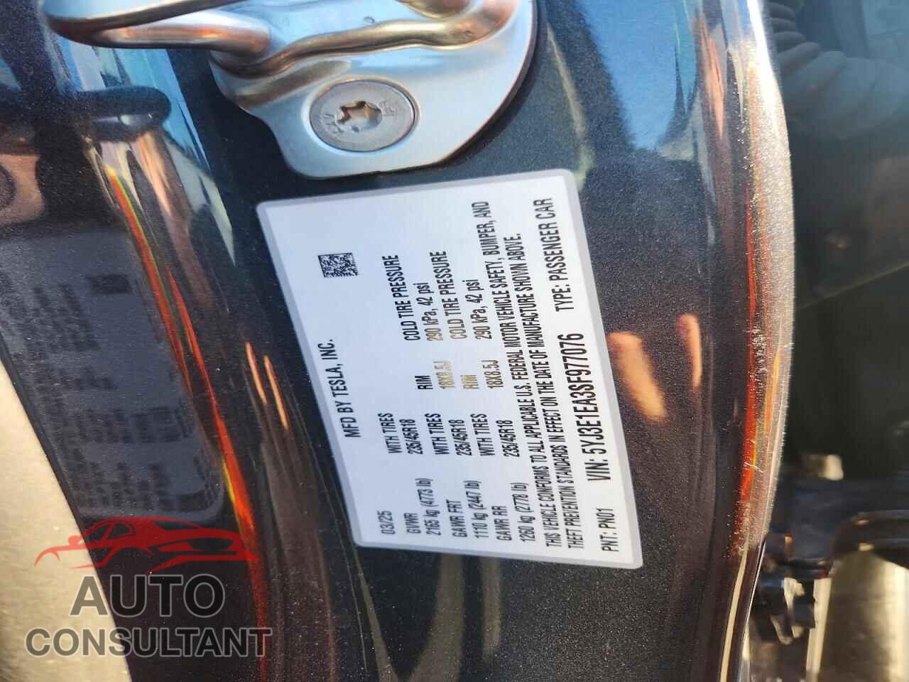 TESLA MODEL 3 2025 - 5YJ3E1EA3SF977076
