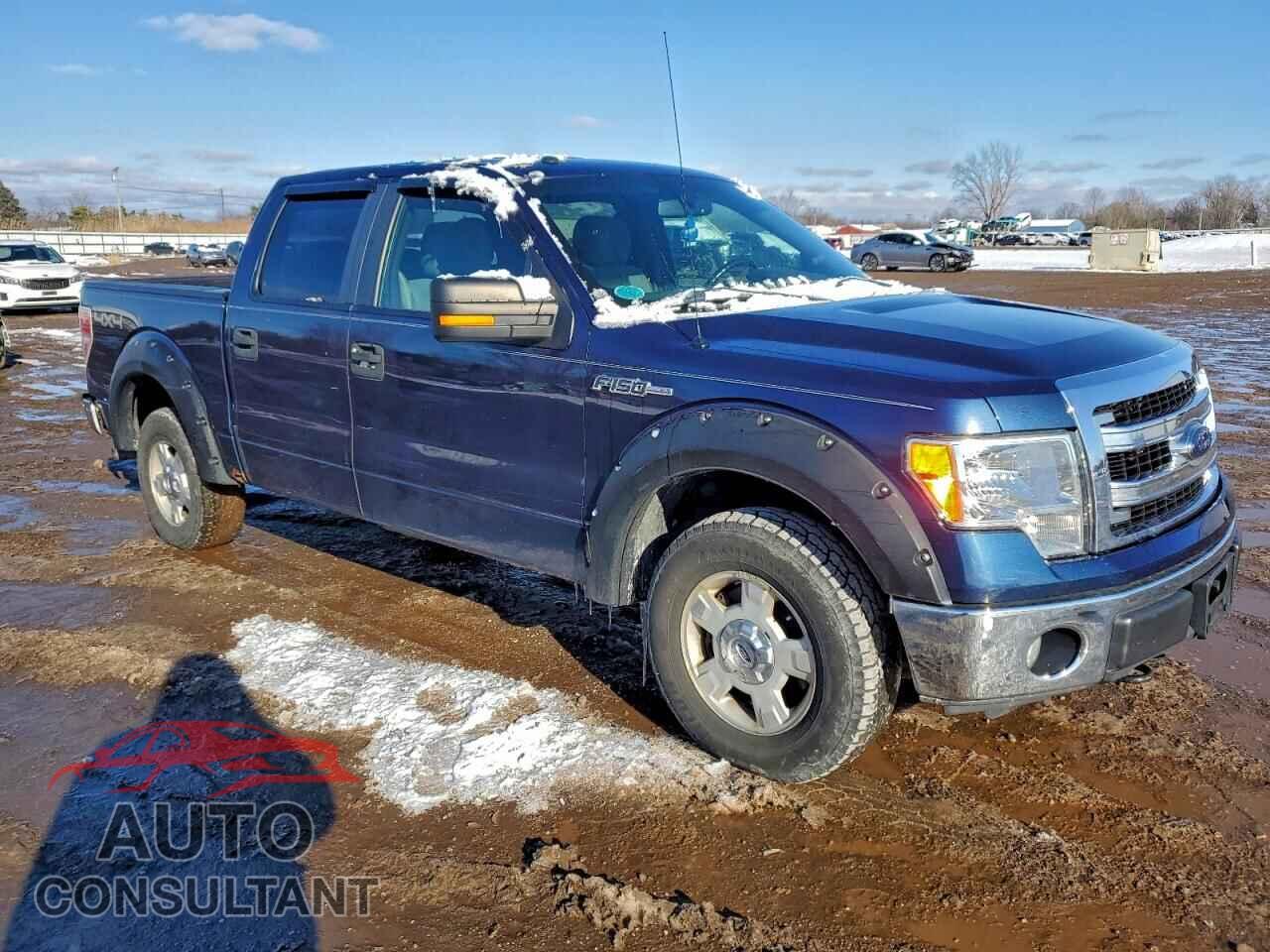 FORD F-150 2013 - 1FTFW1EF5DFD65398