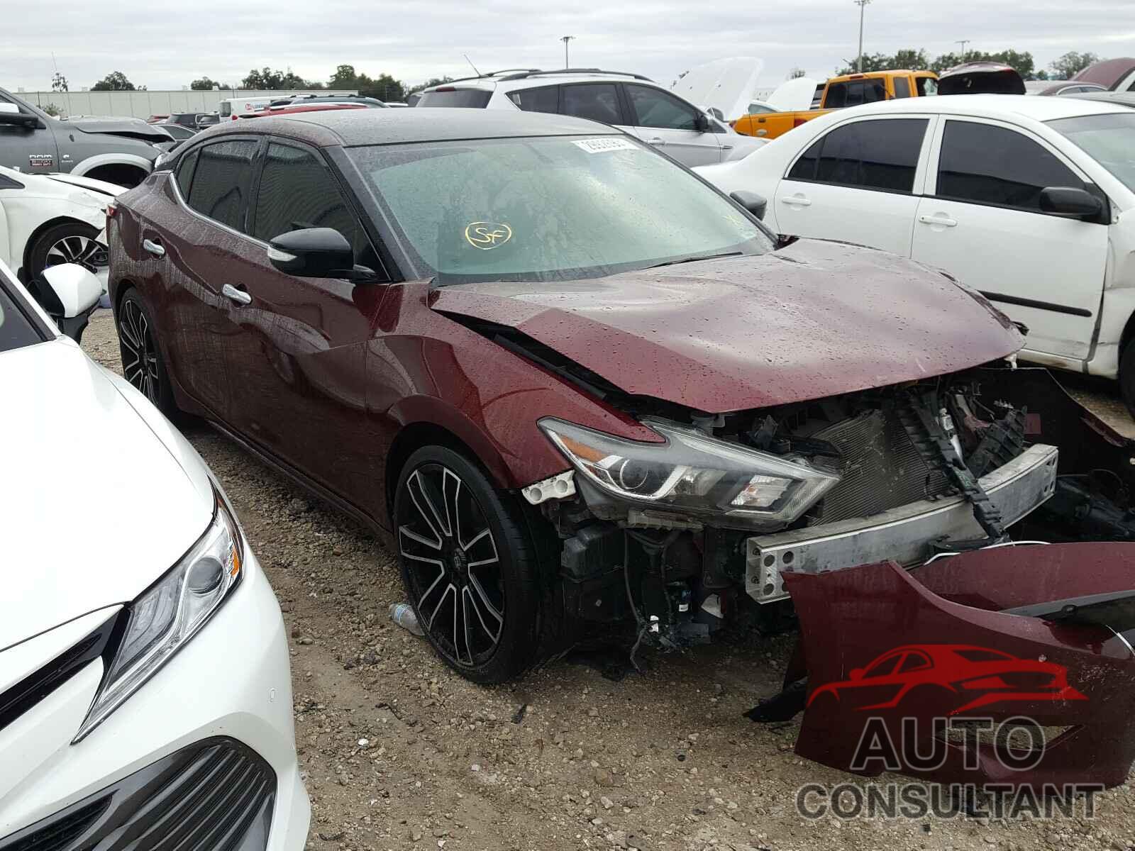 NISSAN MAXIMA 2017 - 1N4AA6AP8HC405992