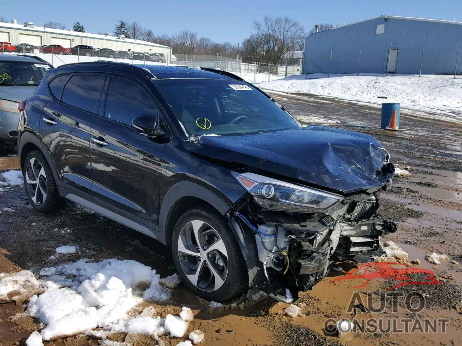 HYUNDAI TUCSON 2017 - KM8J3CA28HU584550