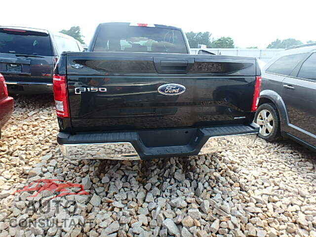 FORD F150 2015 - 1FTEW1CF2FFB24951