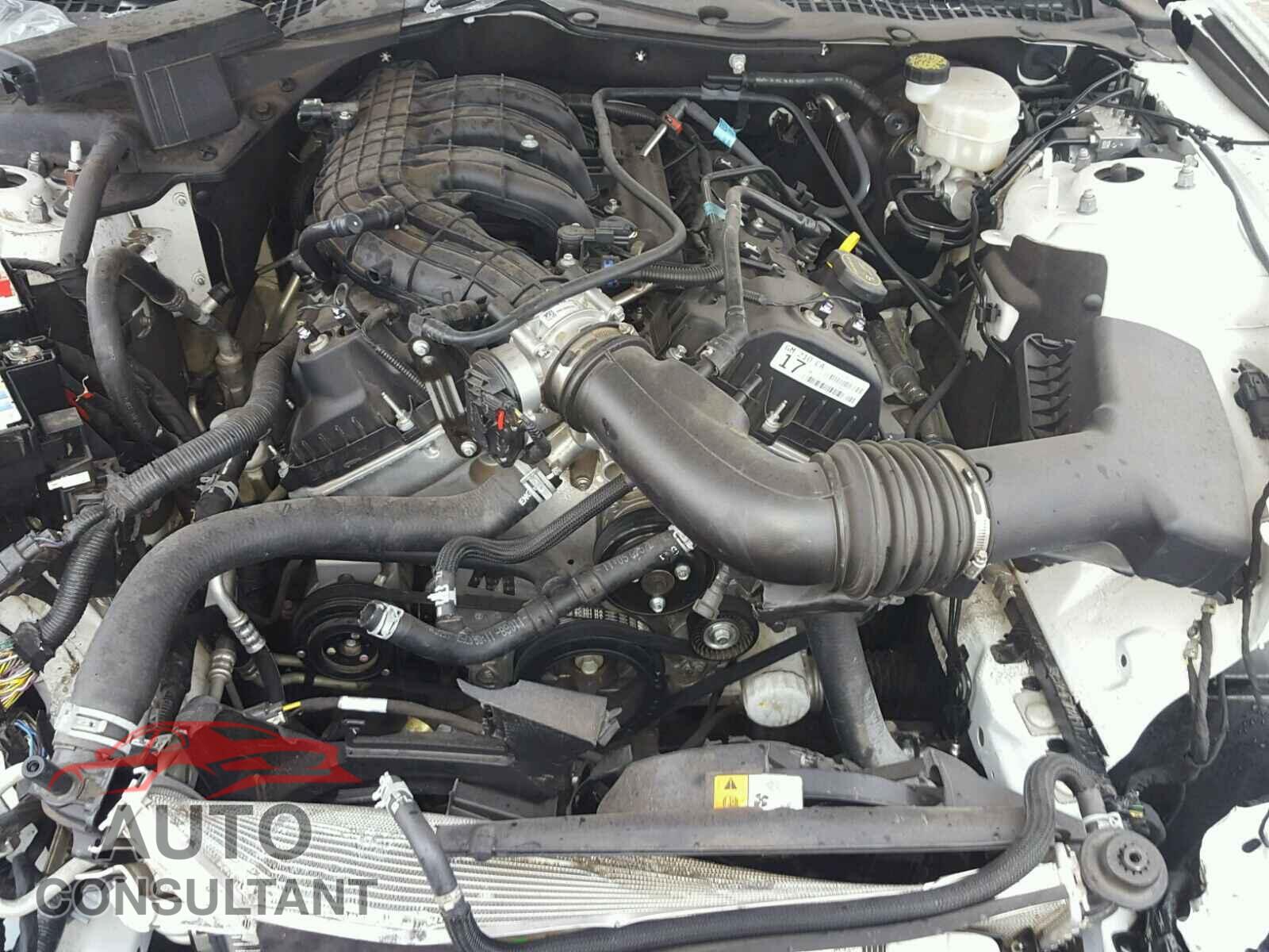 FORD MUSTANG 2017 - 1FA6P8AM9H5266689
