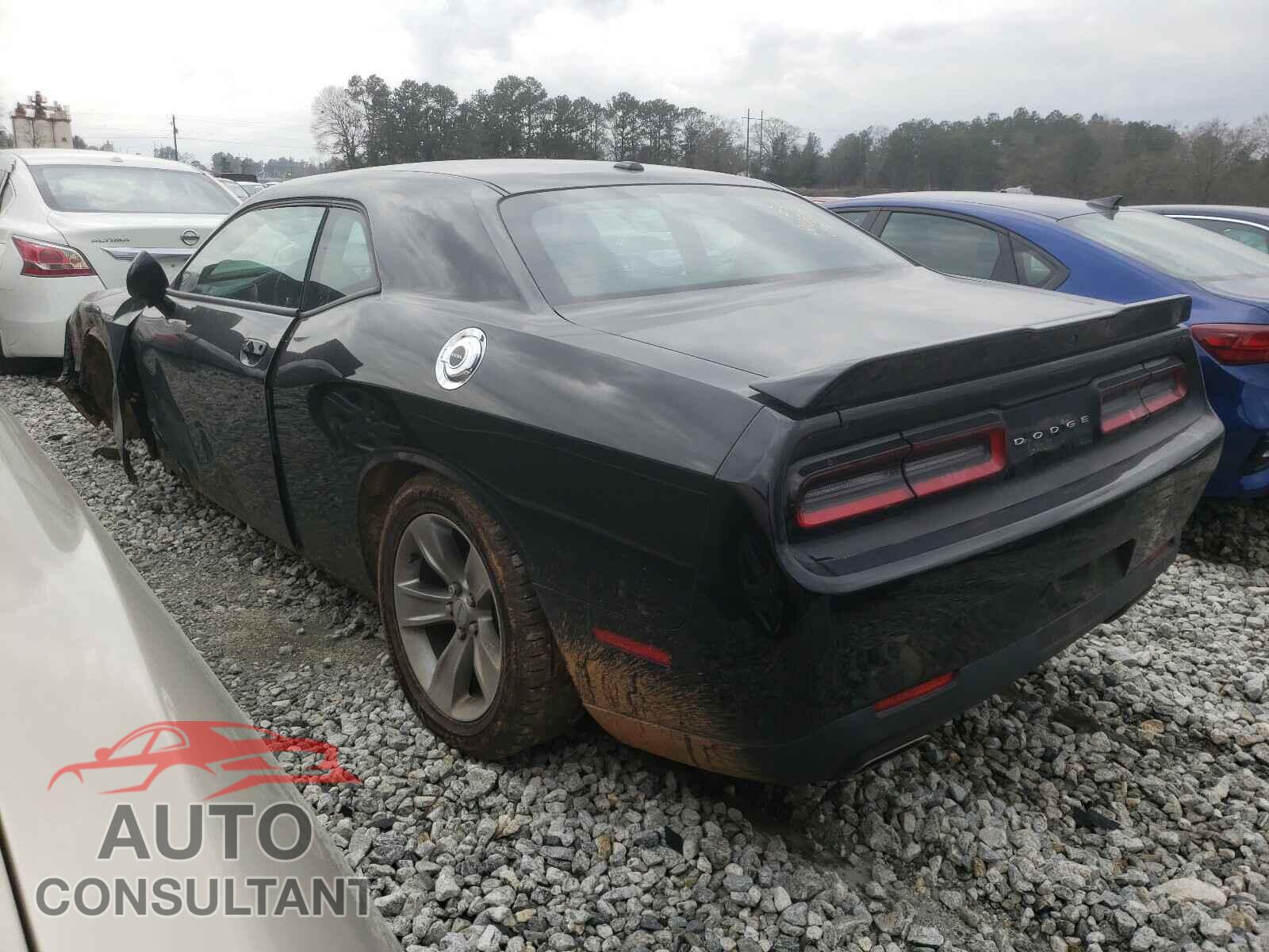 DODGE CHALLENGER 2019 - 2C3CDZAG7KH729438