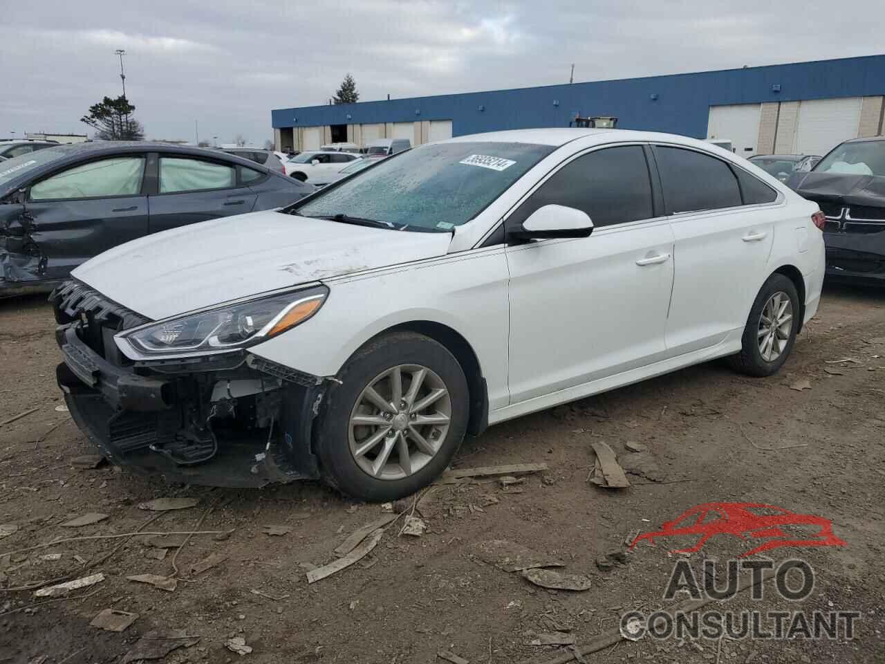 HYUNDAI SONATA 2019 - 5NPE24AFXKH755723