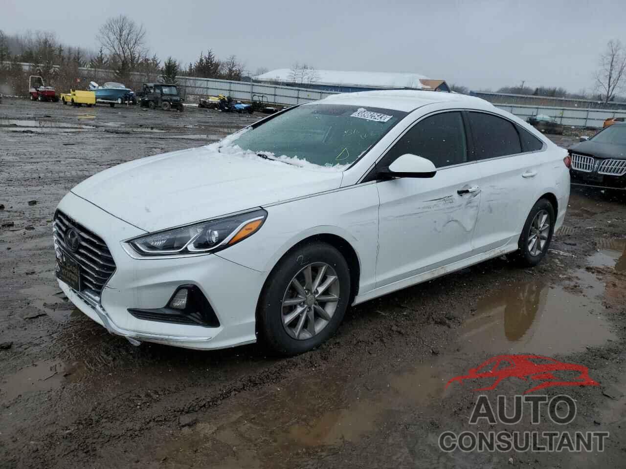 HYUNDAI SONATA 2019 - 5NPE24AF0KH748764