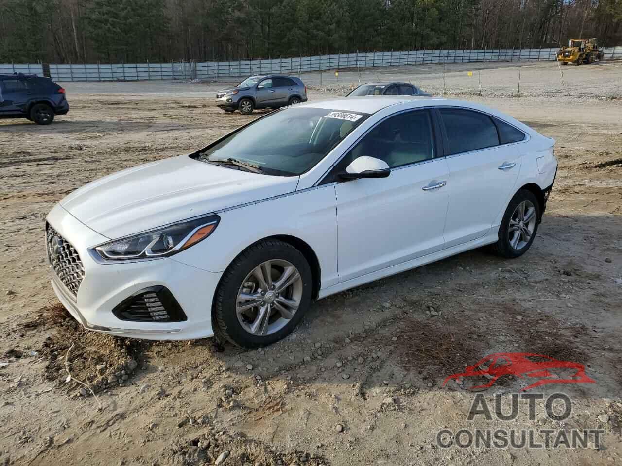 HYUNDAI SONATA 2019 - 5NPE34AF3KH794666